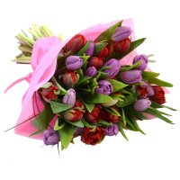 ������ - ����� ������� 29 ����