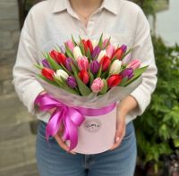 25 тюльпанів в коробці Хайфон