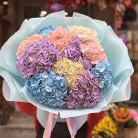 Bouquet of 11 hydrangeas Gmina Psary