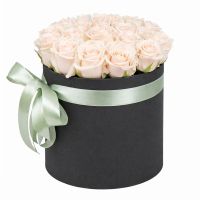 Cream roses in a box Rogatin