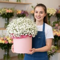 Гипсофила в коробке Мирный (Донецк)