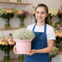 Гипсофила в коробке Мирный (Донецк)