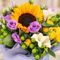 Комплімент у корорбці о. Лесбос