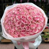 101 pink roses Kenia Lybni