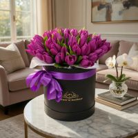 Purple tulips in a box 35pcs Gangkofen