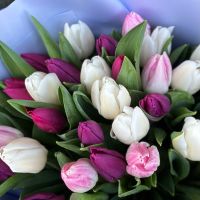 35 тюльпанов микс Рукла