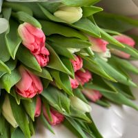 25 белых и розовых тюльпанов Рукла