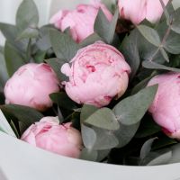 7 pink peonies Bilolutsk