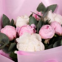  Bouquet 13 peonies Coranit
                                