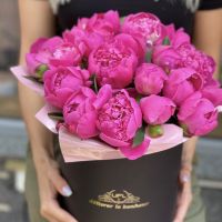 Пионы в коробке  Хаапсалу