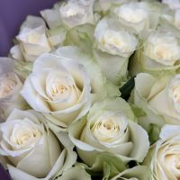 Bouquet 25 white roses Kissing