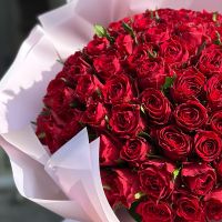 Promo! 101 red roses Bondi