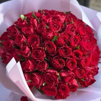 Promo! 101 red roses Kiel