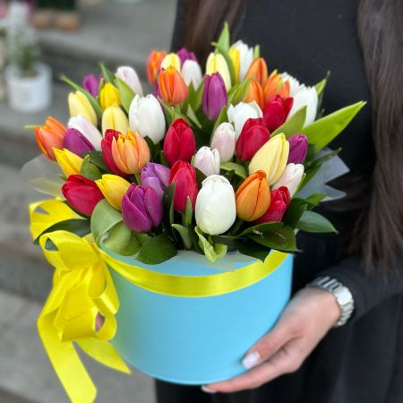 Тюльпаны в коробке Молодия