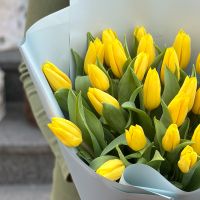 25 желтых тюльпанов Ри