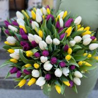  Букет 101 тюльпан Ри
                            