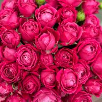 Композиция розы в коробке 9шт Мельбурн (США)