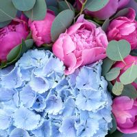 Квітуча симфонія гортензії з півоніями 🌸 Лоретте