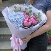 Квітуча симфонія гортензії з півоніями 🌸 Бахмач