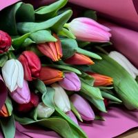 Букет 19 тюльпанов c Raffaello Рукла