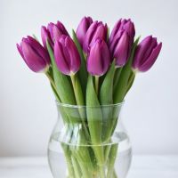  Bouquet Purple tulips Ri
                            