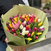 51 разноцветных тюльпанов Рукла