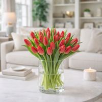 25 red tulips Nikolaev_zhovtneviy