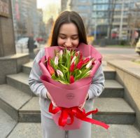 25 red and pink tulips Antalia