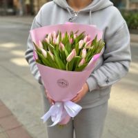 25 pink tulips Palma de Mallorca