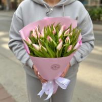 25 pink tulips Palma de Mallorca