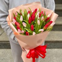 51 красный и розовый тюльпан Чильпансинго