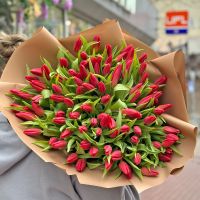 101 red tulips Germantown