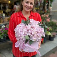 Рожеві гортензії в коробці Чільпансінго