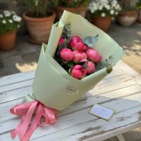 7 coral peonies Stanichno_luganskoe