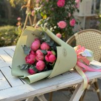 7 coral peonies Stanichno_luganskoe