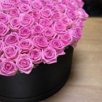 101 pink roses in a box Voronezh (Ukraine)