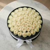 101 white roses in a box XXL Majak