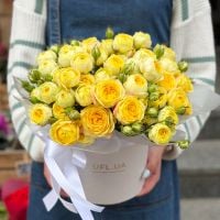 Жовті кущові троянди в коробці Ічікава