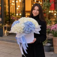 Ніжні гортензії в коробці 5шт Нововолинськ