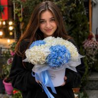 Tender hydrangeas in a box 5pcs Drogobich