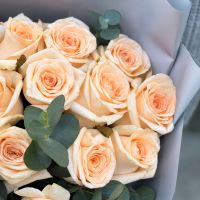 25 cream roses Kamchia