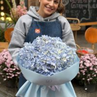 Bouquet of blue hydrangeas 7pcs Ri