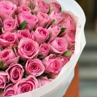 51 pink roses Kenia Saint-Benoit