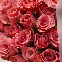 51 pink roses Kenia Bar (Montenegro)