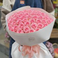 51 pink roses Kenia Naples