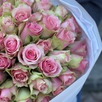 51 рожева троянда Кенія  Палмас