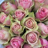 25 розовых роз Кения Базель