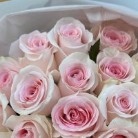 25 рожевих троянд Кенія Київ