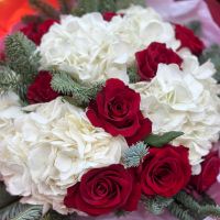  Букет Зимнее настроение Добровеличковка
                            