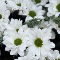  Букет Подих зими Трускавець
                            